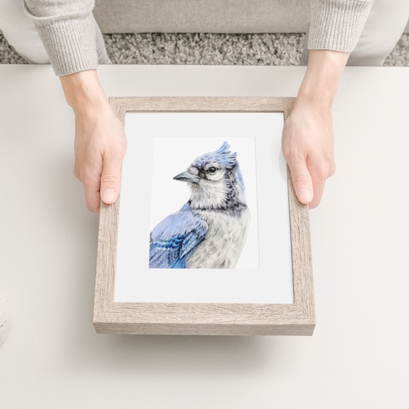 Blue Jay Bird Portrait Wall Art Watercolor Print Poster Unframed - Picture 8 of 9